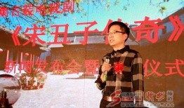 宋丑子传奇全集在线观看,笑谈江湖，传奇人生